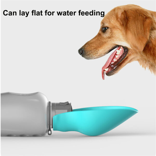 c4883ce8 7ba9 44a1 aa3a 3d1f9993dcfb.jpg